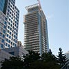 Residential Project The Mercer Condos